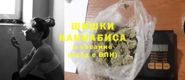 сатива Протвино