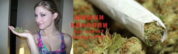 сатива Протвино
